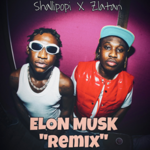 Shallipopi - Elon Musk (Remix) ft. Zlatan