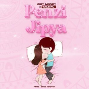 Gigy Money - Penzi Jipya ft. Tamimu