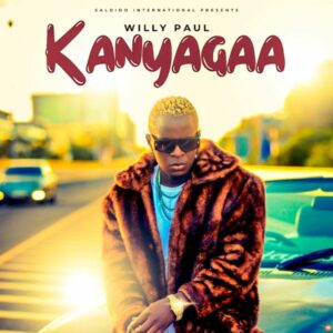 Willy Paul - Kanyagaa