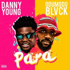 Danny Young ft. Odumodublvck - Para