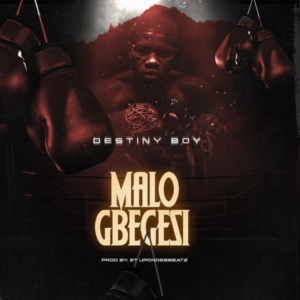 Destiny Boy - Malo Gbegesi