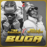 TeeFamous ft. Bella Shmurda – Buga (Remix)