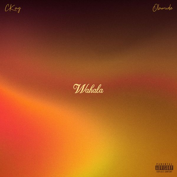 CKay ft. Olamide - Wahala