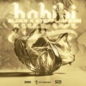 BLOK3 ft. Stefflon Don - Habibi