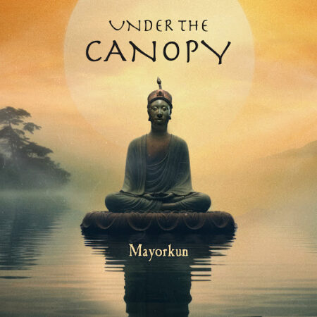 Mayorkun - Under The Canopy