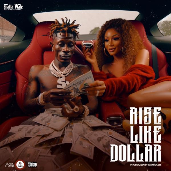 Shatta Wale - Rise Like Dollar