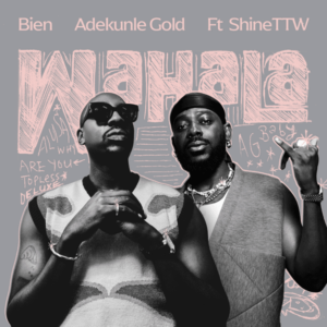 Bien ft. Adekunle Gold & ShineTTW - Wahala