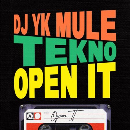 DJ YK Mule - Open It ft. Tekno