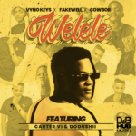 Vyno Keys – Welele ft. Fakewell, Cowboii, Dooushii & Cater iv