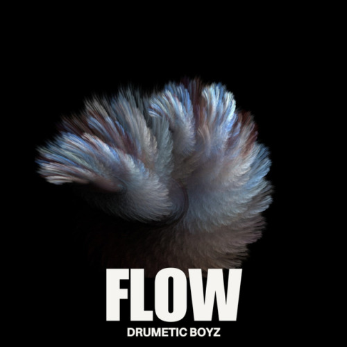 Drumetic Boyz - Flow