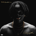 Fireboy DML ft. Seun Kuti – Ecstasy
