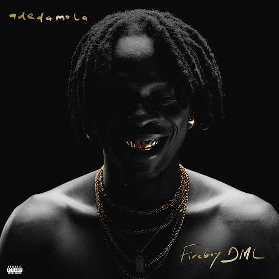 Fireboy DML ft. Seun Kuti - Ecstasy