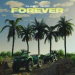 Tion Wayne ft. Shallipopi – Forever