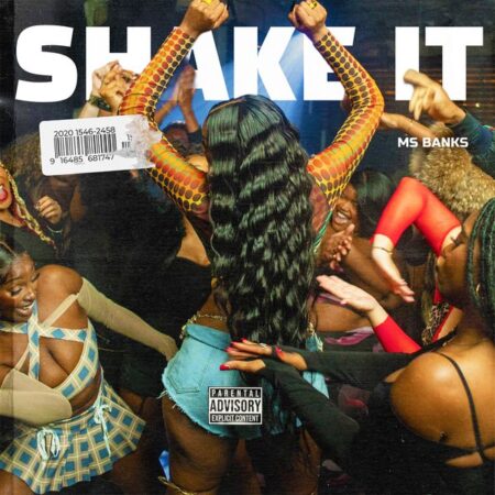 Ms Banks - Shake It