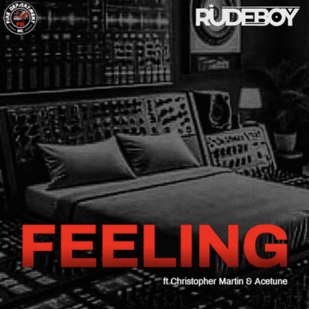 Rudeboy - Feelings ft. Christopher Martin & Acetune