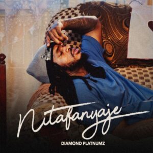 Diamond Platnumz - Nitafanyaje