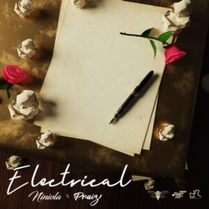 Niniola - Electrical ft. Praiz