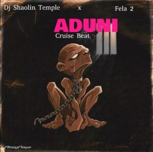 DJ Shaolin Temple - Aduni (Cruise Beat) ft. Fela 2