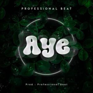 Professional Beat - Aye