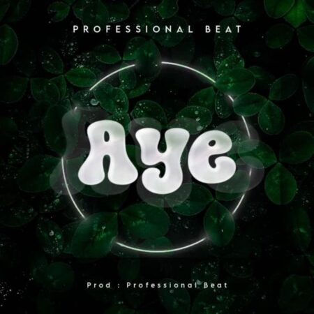 Professional Beat - Aye